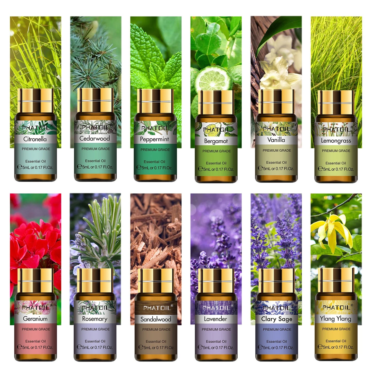 ESSENTIAL OILS GIFT SET  15-Piece Premium Aromatherapy Collection